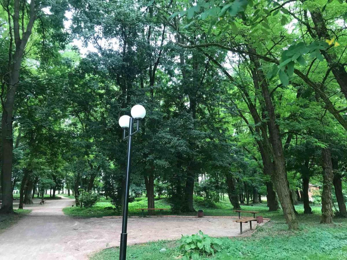 Khutorok Svergio Csesznyivka Kültér fotó